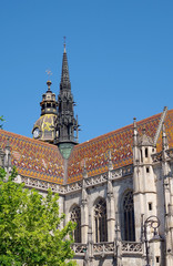 Obraz premium Cathedral of St. Elizabeth, Kosice, Slovakia