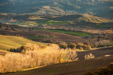 Fototapeta na wymiar Beautiful fields and forests in the landscape of Tuscany