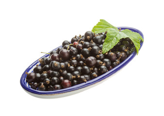 Black currant