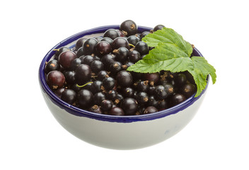 Black currant