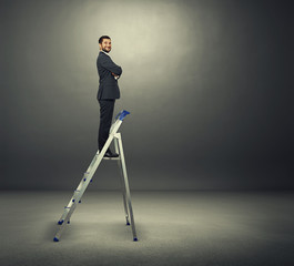 satisfied businessman on the stepladder