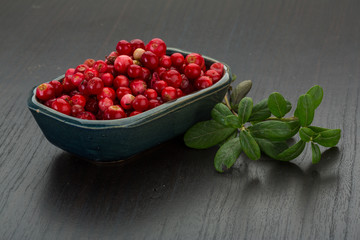 Cowberry