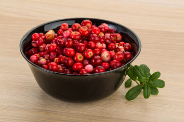 Cowberry