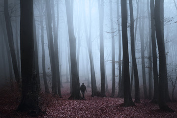 Dark forest in the mist with black silhouette