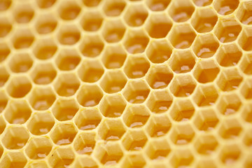 Honeycomb background