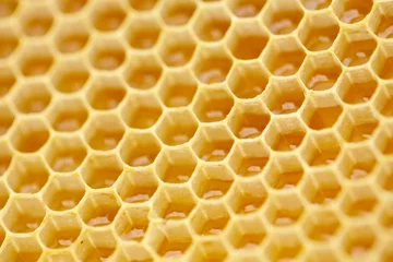 Fotobehang Honeycomb background © Marek Walica