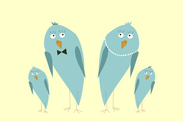 Kiwi birds family