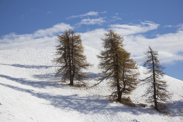 Valle Maira - Elva