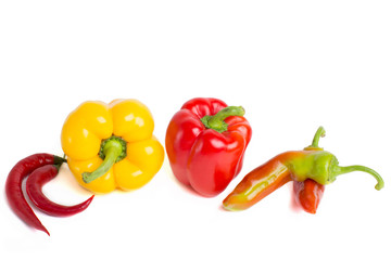 many different fresh peppers.
