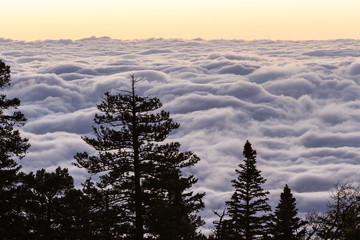sunrise above the clouds