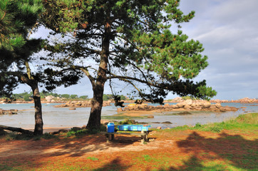 Obraz premium Aire de pique-nique sur la côte de granit rose à Ploumanach