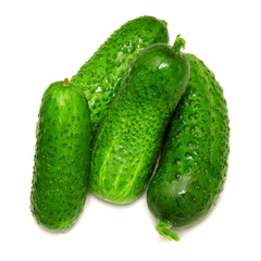 Cucumber