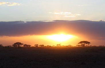 Naklejka na ściany i meble Sonnenuntergang in Afrika