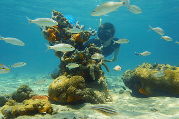 Naklejka na ściany i meble Underwater scene with snorkeler looking sea life