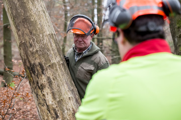 people working in the forest