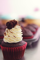 Black forest cupcake with blurred tray in background