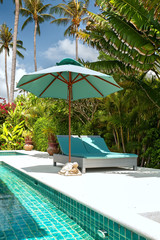 plank bed, pool, palm tree