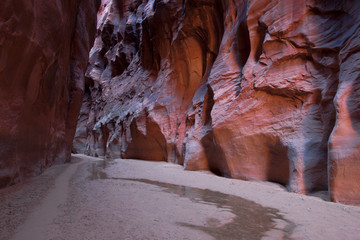AZ-Paria Canyon-Vermillion Cliffs Wilderness-Buckskin Canyon