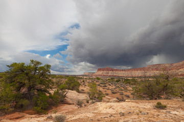 UT-Canyonlands National Park-The Maze-Dollhouse