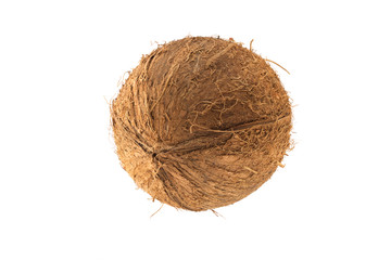 Round coconut fruit
