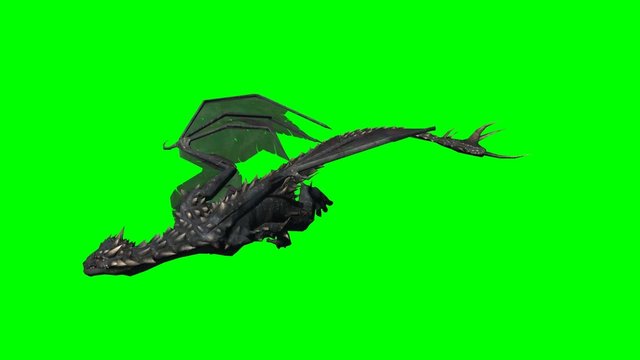 dragon swims - 2 different green screen variants