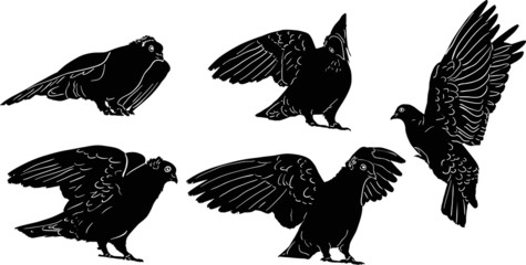 five black sketches of pigeons
