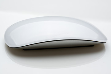 White mouse