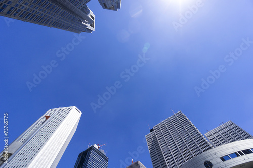 東京都庁と新宿高層ビル街を見上げる 快晴青空にふりそそぐ太陽 Wall Mural Oka