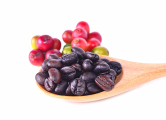 Fresh coffee beans in spoon with white background