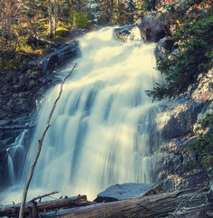 Obrazy na Plexi  Wodospad w lesie
