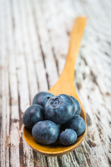 Blueberry
