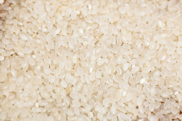 White long rice background, uncooked raw cereals, macro closeup