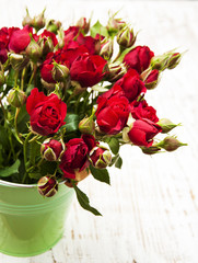 Red roses in bucket