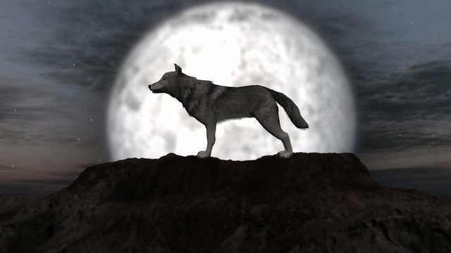 wolf howling at full moon + individual elements on green screen