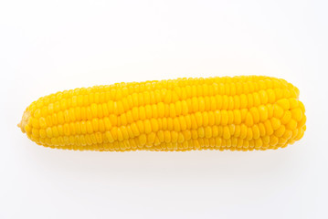 Corn isolated on white background