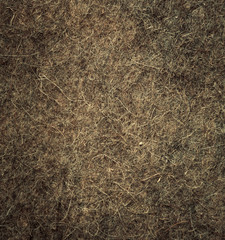 Wool texture.