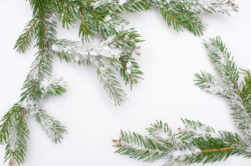 snow fir tree branches under snowfall. framework for text