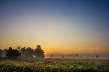 Rice fields in the morning with fog