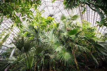 Botanical Garden in Berlin