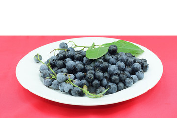 Blueberries