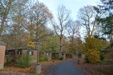 park with Log cabins