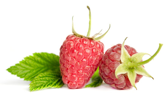 Two sweet ripe raspberries isolated on white background