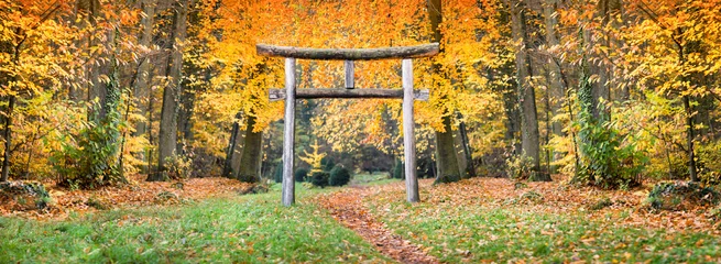 Foto auf Leinwand Japanischer Schrein im Wald © eyetronic