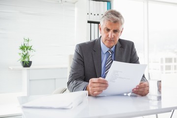 Mature businessman looking at document - obrazy, fototapety, plakaty
