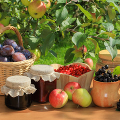 Fruit and berries ecology