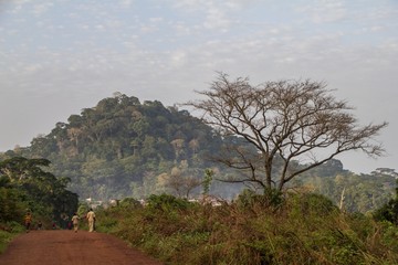 Guinea