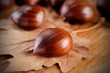 castagne sulla foglia secca