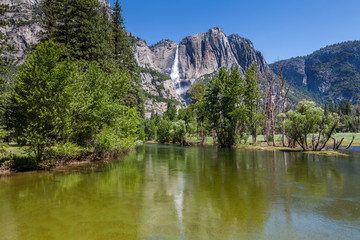 Fototapeta na wymiar Along the river in Yosemite