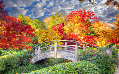 Moon Bridge in the Japanese Gardens