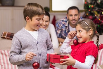 Naklejka premium Brother and sister holding gift and baubles